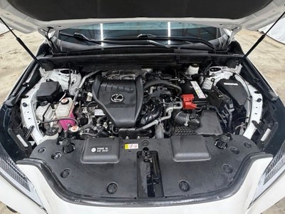 2024 Lexus NX 350 Base