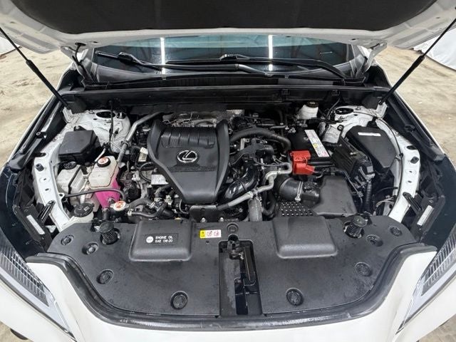 2024 Lexus NX 350 Base