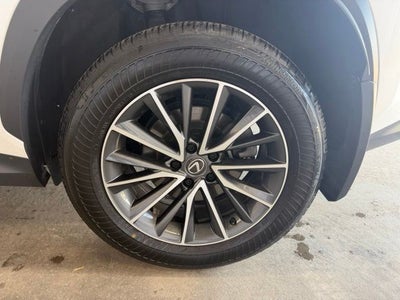 2024 Lexus NX 350 Base